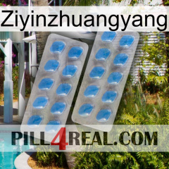 Ziyinzhuangyang 23